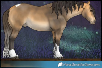 Horse Color:Buckskin Tobiano