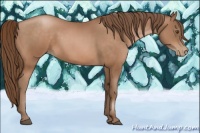 Horse Color:Brown Pearl 