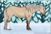 Horse Color:Silver Brown Dun