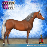 Horse Color:Silver Bay 