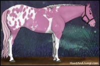 Horse Color:Watercolor Palomino Tobiano Appaloosa 