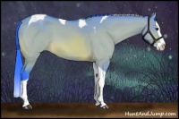 Horse Color:Watercolor Bay Dun Sabino Splash Tobiano 