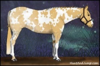 Horse Color:Watercolor White Spotted Chestnut 