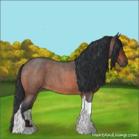 Horse Color:Bay Roan Tobiano