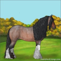 Horse Color:Bay Roan Tobiano 