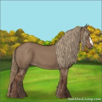 Horse Color:Liver Red Dun 