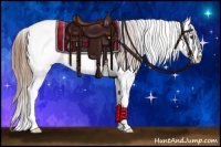 Horse Color:Chestnut Sabino Appaloosa 