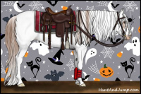 Horse Color:Chestnut Sabino Frame Appaloosa 