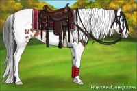 Horse Color:Brown Sabino Splash Tobiano Appaloosa 
