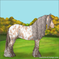 Horse Color:Amber Champagne Appaloosa  and Amber Champagne Appaloosa 