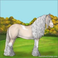 Horse Color:Silver Sable Champagne Dun Splash Tobiano Rabicano 