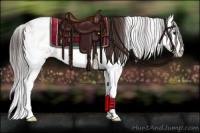 Horse Color:Bay Dun Sabino Splash Appaloosa 