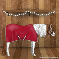 Horse Color:Red Dun Sabino Tobiano Appaloosa 
