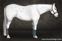 Horse Color:White Spotted Liver Chestnut Ice 