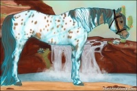 Horse Color:Thunderstruck Buckskin Tobiano Appaloosa 