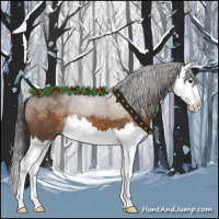 Horse Color:Buckskin Roan Splash