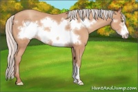 Horse Color:Silver Amber Champagne Frame 