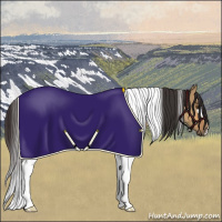 Horse Color:Buckskin Dun Tobiano Rabicano 