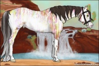 Horse Color:Bay Ice Onyx Splash 