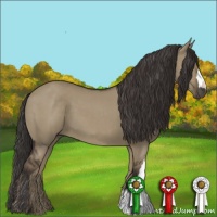Horse Color:Smoky Grullo 
