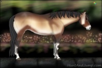 Horse Color:Brown Onyx 