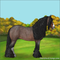 Horse Color:Gray Bay Roan Splash Frame Rabicano