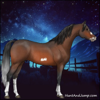 Horse Color:Bay Roan Splash Frame Rabicano 