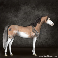 Horse Color:Sable Champagne Splash  and Sable Champagne Splash Frame 