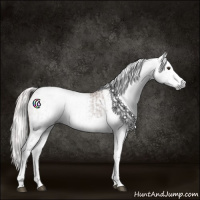 Horse Color:Gray Chestnut Splash Tobiano  and Gray Chestnut Splash Tobiano 