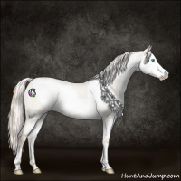 Horse Color:Smoky Creme Roan Dun  and Smoky Creme Roan Dun