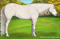 Horse Color:Smoky Creme Roan and Smoky Creme Roan Splash
