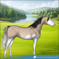 Horse Color:Bay Dun Splash Rabicano 