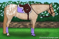 Horse Color:Red Roan  and Red Roan Blanket 