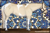 Horse Color:Palomino Dun Tobiano