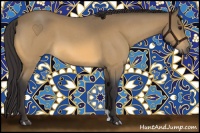 Horse Color:Buckskin Roan