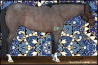 Horse Color:Brown Roan Rabicano 