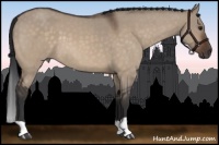 Horse Color:Brown Roan Dun 