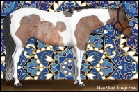 Horse Color:Bay Roan Tobiano Rabicano