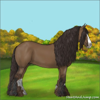 Horse Color:Gray Liver Red Dun Splash 