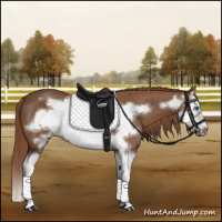 Horse Color:Chestnut Splash Frame Rabicano