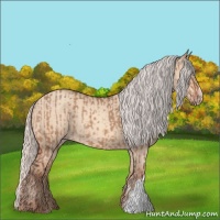 Horse Color:Silver Bay Dun  and Silver Amber Champagne Dun 