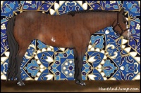 Horse Color:Brown Frame Rabicano  and Buckskin Splash Frame Rabicano 