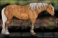 Horse Color:Silver Bay  and Silver Buckskin 
