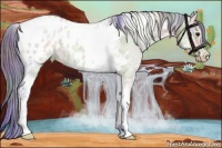 Horse Color:Nacre Watercolor Bay Ice Roan Dun Tobiano Appaloosa