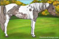 Horse Color:Gray Silver Black Ice Tobiano 