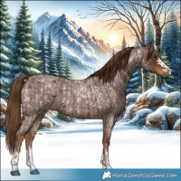 Horse Color:Red Roan  and Gray Red Roan 