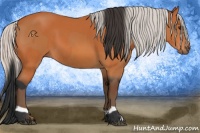 Horse Color:Bay  and Silver Bay 