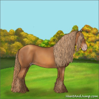 Horse Color:Gray Gold Champagne  and Gray Gold Champagne 