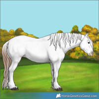 Horse Color:Bay Near Fewspot and Gray Bay Near Fewspot