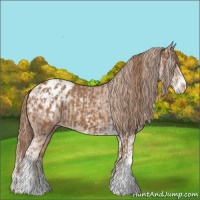 Horse Color:Chestnut Sabino Appaloosa  and Chestnut Sabino Appaloosa 